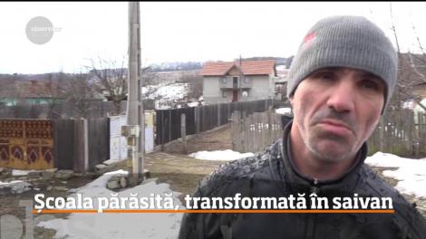Școală părăsită, transformată în stână