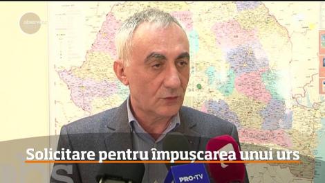Solicitare pentru împușcarea unui urs