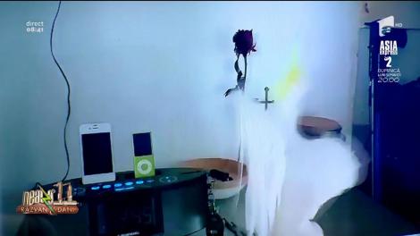 Smiley News. Un papagal dansează pe melodia "What is Love"