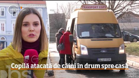 Copilă atacată de câini în drum spre casă
