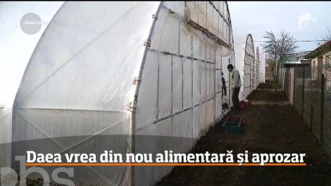 Ministrul Agriculturii vrea din nou alimentară şi aprozar