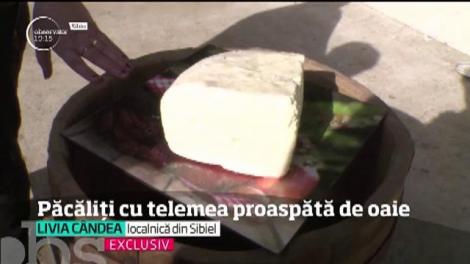 Brânza proaspătă de oi, mit în mijlocul iernii. Oile nu se mulg până la primăvară, o spun ciobanii