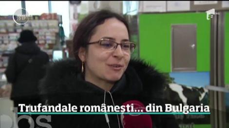 În piețe, kilogramul de urizici costă 50 de lei, mai sumpe decât fructele de mare