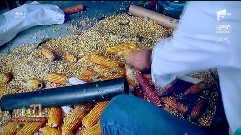 Smiley New. Adio bârfa de la țară! Cum să cureți un sac de porumb în două minute