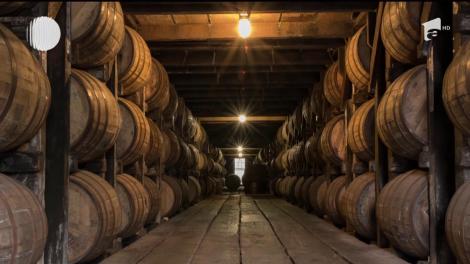 Tips & Trips. Dublin, capitala Irlandei, orașul perfect pentru un city break