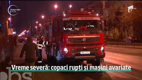 Vreme severă în București. Zeci de copaci au fost doborâţi și mai multe maşini au fost avariate