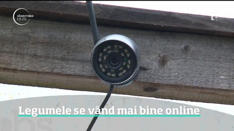 Legumele de seră se vând mai bine cu ajutorul internetului