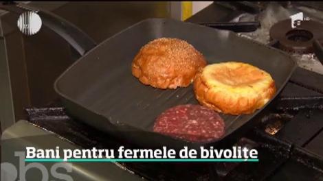 Ministrul Agriculturii promite bani pentru înfiinţarea de ferme noi de bivolițe