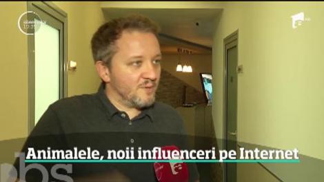 Paginile de socializare ale animalelor de companie, importante surse de venit pentru stăpânii lor