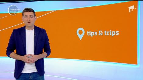 Tips & Trips. Locurile din lume unde putem face cele mai bune poze cu peisaje înflorite