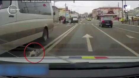 Un poliţist din Bacău a oprit circulaţia într-o intersecţie pentru un câine speriat