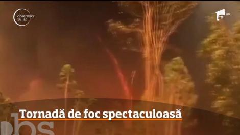 O tornadă de foc impresionantă s-a format într-un oraş din Australia