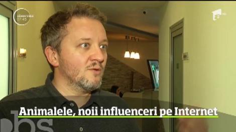 Animalele de companie pot deveni o afacere online