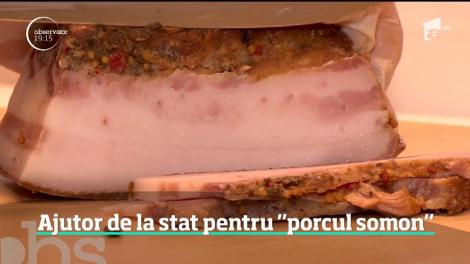 Fermierii români sunt încurajaţi de stat să crească porci româneşti: Bazna şi Mangaliţa