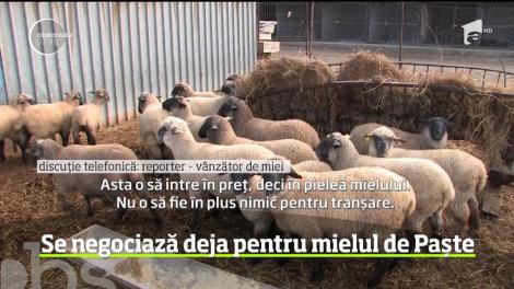 Românii negociază deja pentru mielul de Paște