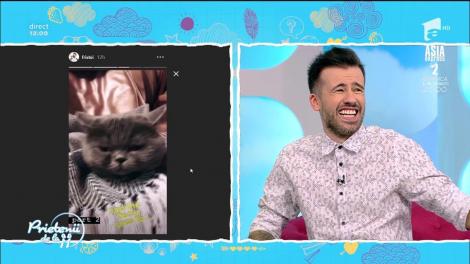 Cum își trezește Florin Ristei pisica în fiecare dimineață