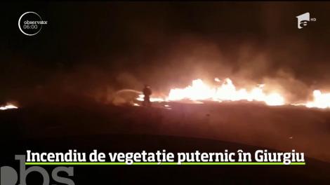 Un puternic incendiu de vegetaţie uscată a avut loc în apropiere de Autostrada Bucureşti Piteşti. Focul s-a propagat pe o suprafaţă de aproximativ două hectare de teren
