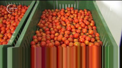 Primele roşii româneşti subvenţionate de stat cu 3.000 de euro vor apărea în pieţe de Paşte, spun fermierii