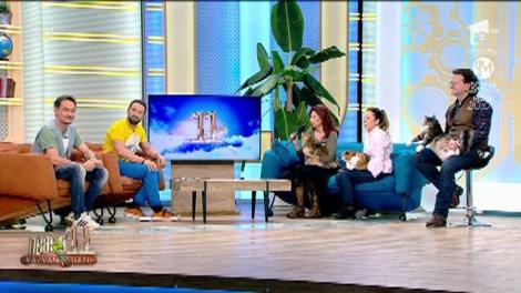 Pisicile din România au câștigat expoziția competiție din Bulgaria: "I-am bătut pe bulgari la ei acasă"