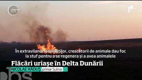 Flăcări uriaşe s-au aprins la doar câteva sute de metri de casele localnicilor din Sulina