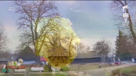 Mărțișoarele handmade, cele mai căutate de 1 Martie. Cele mai frumoase se găsesc la Muzeul Satului din București