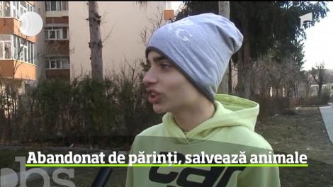 Trăieşte într-un centru de plasament, dar se luptă zi de zi pentru a le oferi o casă. animalelor de pe străzi