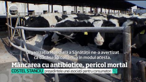 Mâncăm antibiotice fără să ştim! În carnea de pui, de porc şi în lapte, există reziduuri periculoase