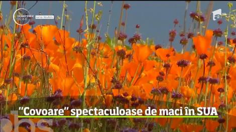 Imagini spectaculoase în apropiere de Los Angeles, după mai multe săptămâni de ploi abundente