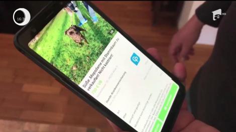 Fiscul din Germania a pus sub sechestru câinele unei familii care rămăsese puţin în urmă cu plata taxelor