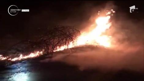 Incendiu de vegetaţie în localitatea Cochirleni din Constanţa. Hectare întregi de pomi fructiferi şi iarbă uscată au ars