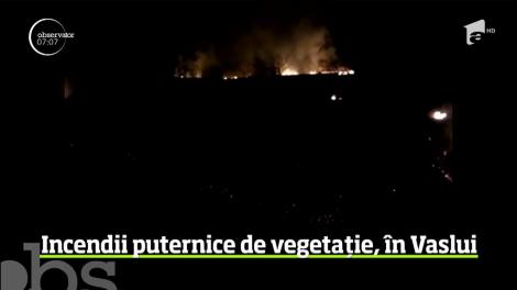 Incendii puternice de vegetaţie în judeţul Vaslui