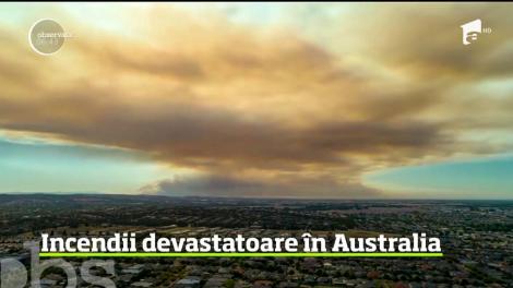 Incendiile de vegetaţie continuă să facă ravagii în Australia