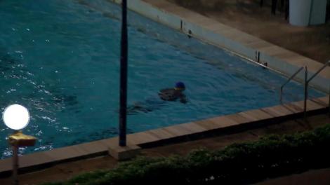 CRBL și Oase s-au cazat la un milionar!: ”Orice clădire era marcată de el şi de neamul lui. Avea cheia şi de la biserică”