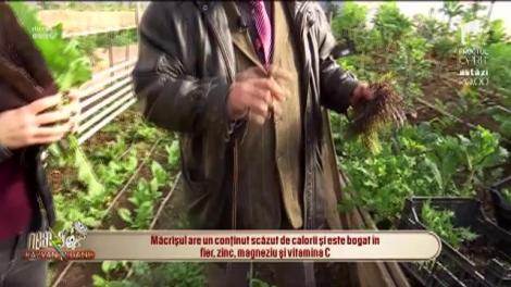 Sănătatea de primăvară! Care sunt cele mai nutritive legume de sezon! De unde îți poți umple coșul cu superalimente