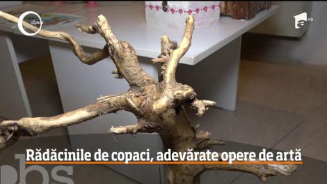 Rădăcinile de copaci, adevărate opere de artă în mâinile unui angajat al Hidrocentralei Porţile de Fier