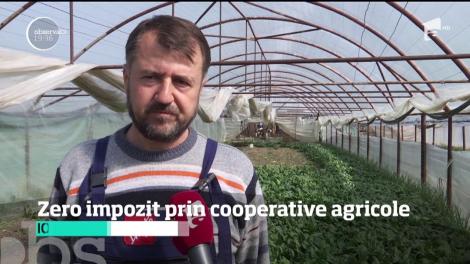 Zero impozit pentru fermierii care vând cel puţin jumătate din recoltă prin cooperative agricole