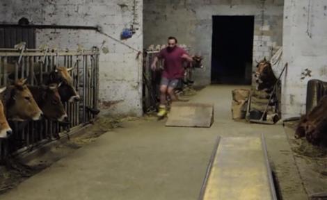 Un îngrijitor de la o fermă de vite din Spania face trucuri cu rolele chiar în grajdul animalelor