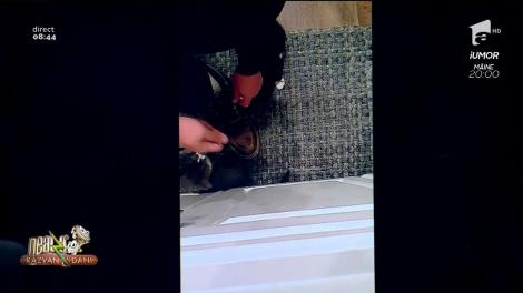 Smiley News. Două pisicuțe simpatice își ajută stăpânul să se lege la șireturi