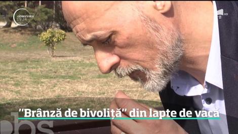 Atenţie de unde cumpăraţi brânză de bivoliţă! Cea de la colţul străzii e în cel mai bun caz brânză de vacă