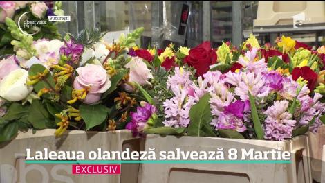 Drumul florilor din Olanda în România! O singură firmă românească a cumpărat pentru Ziua Femeii flori de un milion de euro