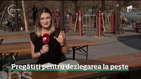 Vânzătorii de peşte încearcă să le facă românilor mai gustoase cele două zile de dezlegare la peşte din tot postul