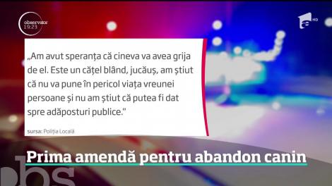 O femeie a primit amendă o mie de lei pentru că și-a abandonat câinele pe stradă