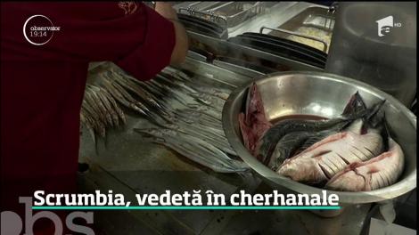 Scrumbia, vedetă în cherhanalele de pe litoralul românesc