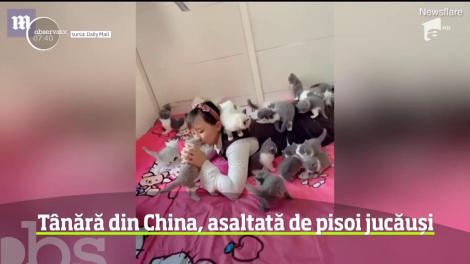Tânără din China, asaltată de pisoi jucăuși