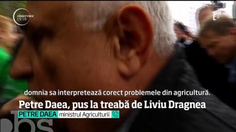 Petre Daea, pus la treabă de Liviu Dragnea! Ministrul Agriculturii trebuie să respecte programul de guvernare