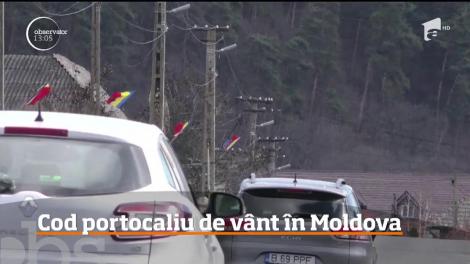 Cod portocaliu de vânt în Moldova