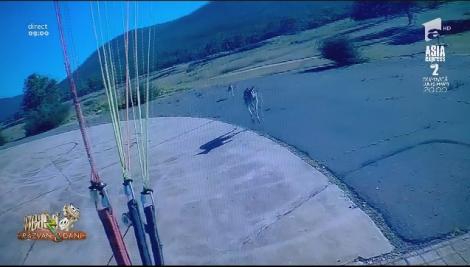 Smiley News. Parapantist atacat de canguri. Motivul pentru care fost bătut