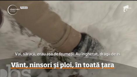 Vremea s-a schimbat radical în toată ţara!