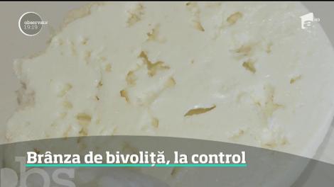 Brânza de bivoliţă, la control!