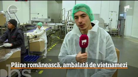 Vietnamezii au ajuns să ambaleze pâinea românească